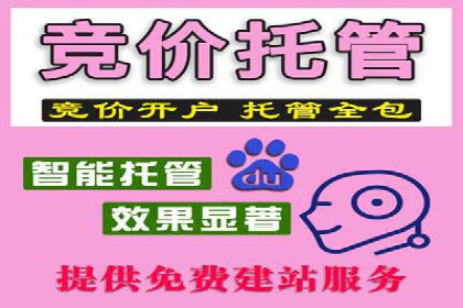 SEM竞价代运营公司成功案例分析